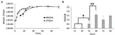 Phage-Mediated Explosive Cell Lysis Induces the Formation of a Different Type of O-IMV in Shewanella vesiculosa M7T